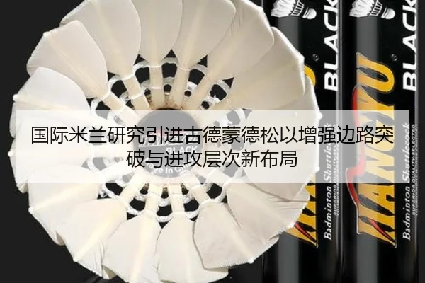 国际米兰研究引进古德蒙德松以增强边路突破与进攻层次新布局